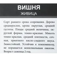 слайд 3