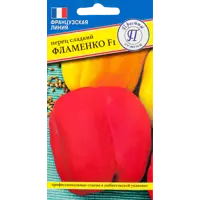 слайд 0