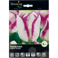 слайд 0