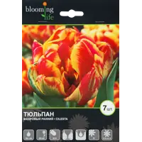 слайд 0