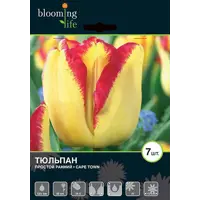 слайд 0