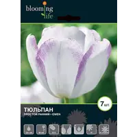 слайд 0