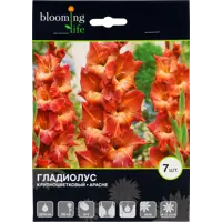 слайд 0