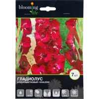 слайд 0