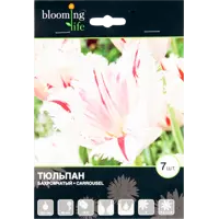 слайд 0