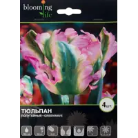слайд 0