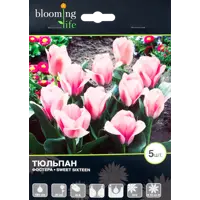 слайд 0