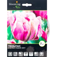 слайд 0