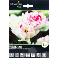 слайд 0