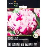 слайд 0