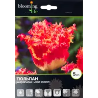 слайд 0