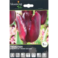слайд 0