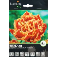 слайд 0
