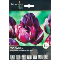 слайд 0