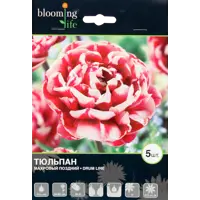 слайд 0