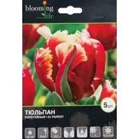 слайд 0