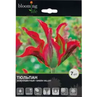 слайд 0