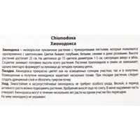 слайд 3