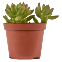 слайд 5