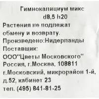 слайд 2