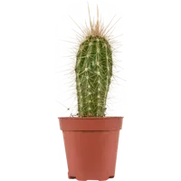 слайд 3