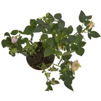 слайд 6