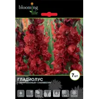 слайд 0