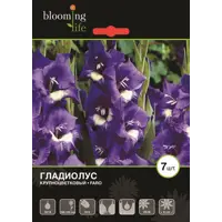 слайд 0