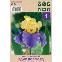 слайд 0