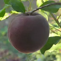 слайд 0