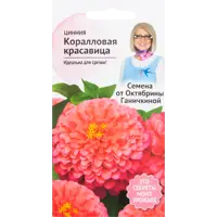 слайд 0