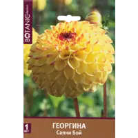 слайд 0