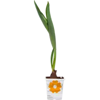 слайд 3