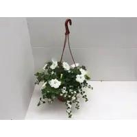 слайд 6