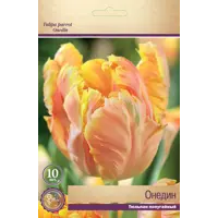 слайд 0