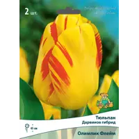 слайд 0