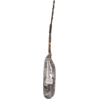 слайд 0