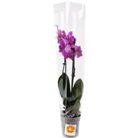 слайд 3