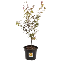 слайд 0