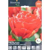 слайд 0