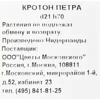 слайд 2