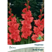 слайд 0