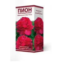 слайд 0