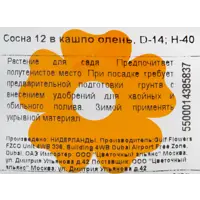 слайд 3