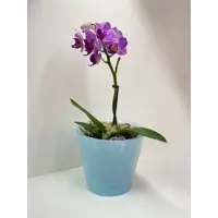 слайд 3