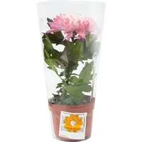слайд 3