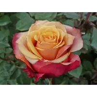 слайд 4