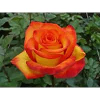 слайд 3