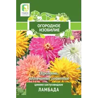 слайд 0