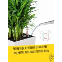 слайд 4